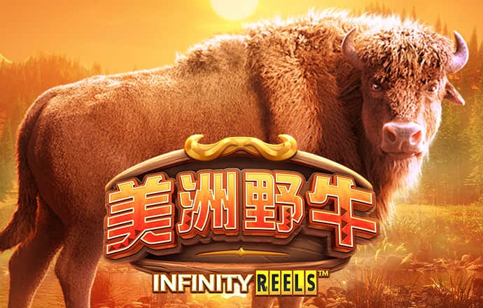 b体育手机网页版登录入口
